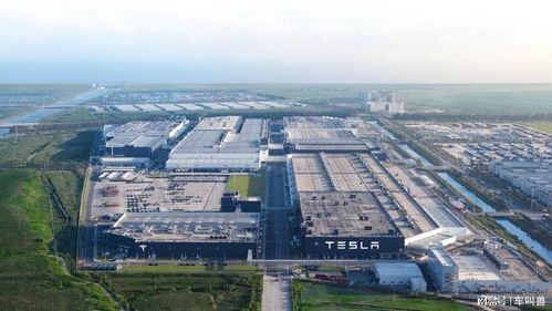 特斯拉逆勢(shì)漲價(jià) 與行業(yè)降價(jià)潮分道揚(yáng)鑣的深層邏輯